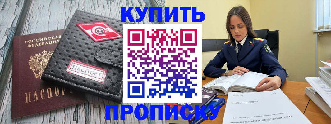 где прописаться в Нелидово